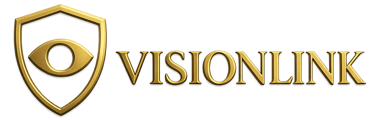 Vision Link logo